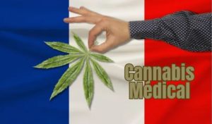 Cannabis médical France