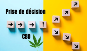 CBD et décisions